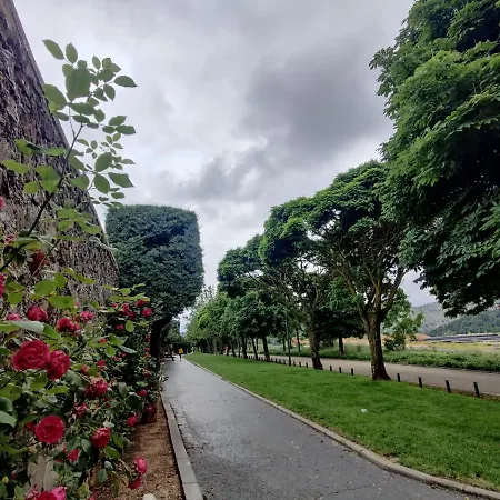 Leonor Miron 4* Soria